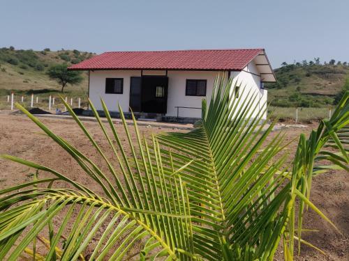 Esha Farm,s