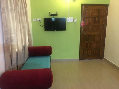 Hostal Baga Electric Cats