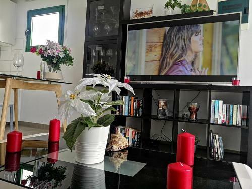 Apartamentos Temisa