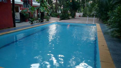 Hotel Shruti Resort