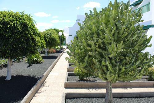 Apartamento Las Mimosas Sol