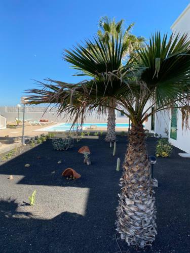 Apartamento Las Mimosas Sol