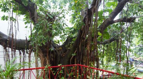 Calangute Holiday Apartment