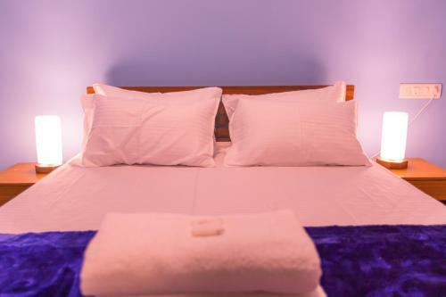 Hostal Pinnacle Mist , Calangute Beach Road
