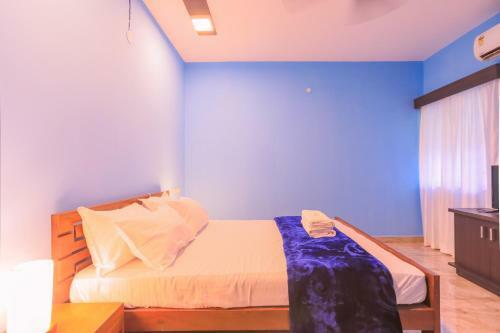 Hostal Pinnacle Mist , Calangute Beach Road