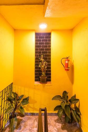 Hostal Pinnacle Mist , Calangute Beach Road