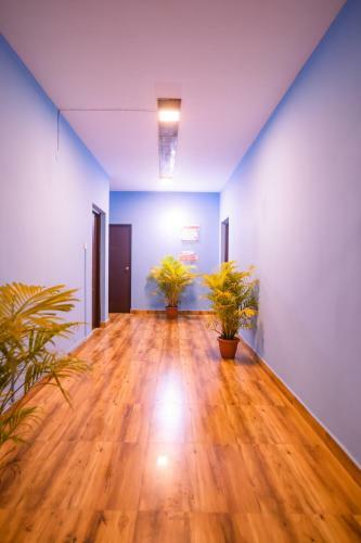 Hostal Pinnacle Mist , Calangute Beach Road