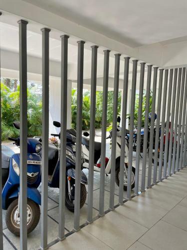 Beautiful 1bhk Apartment