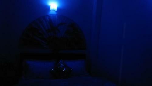 Shalom Inn Home Stay