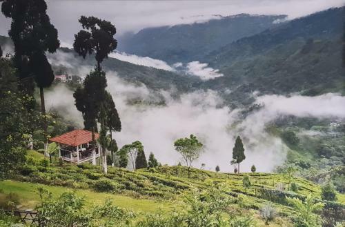 Hotel Chamong Chiabari Mountain Retreat