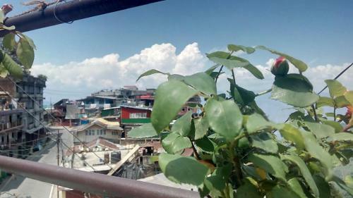 Madys View -aaple Ghar