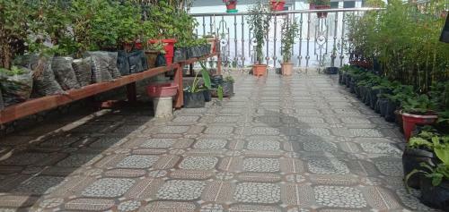 Rise N Shine Homestay