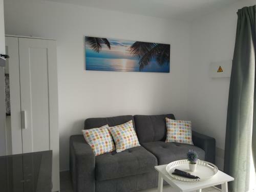 Apartamento Delfines 2