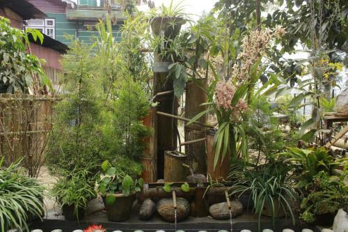 Travellers Homestay-offbeat Destination