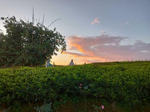 Theeng's Homestay(mirik)