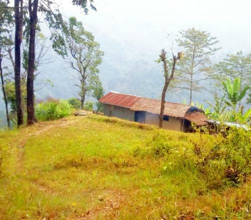 Darjeeling Nature Camp