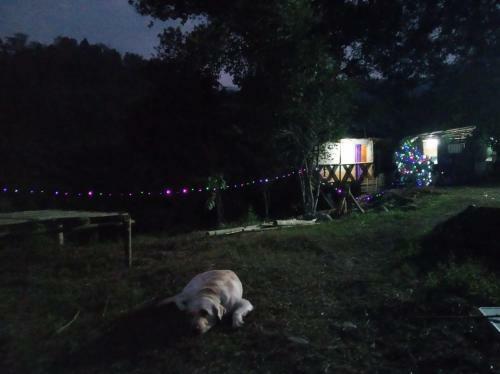 Darjeeling Nature Camp