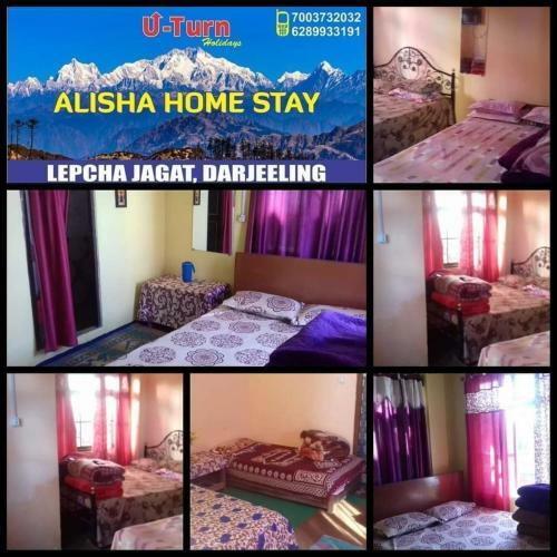 U-turn Alisha Homestay