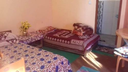 U-turn Alisha Homestay