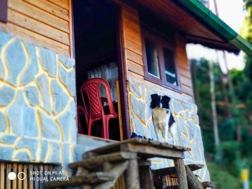 Solitude In Himalayas, Villa
