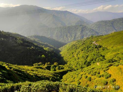 Solitude In Himalayas, Cottage