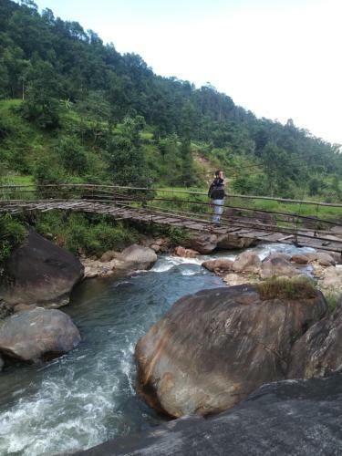 Solitude In Himalayas, Cottage