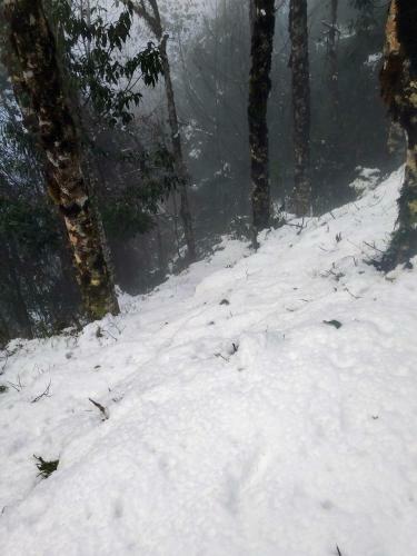 Solitude In Himalayas, Cottage