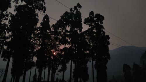Syangbo Homestay