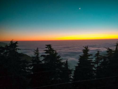 Hotel Dhanaulti Jungle Resort