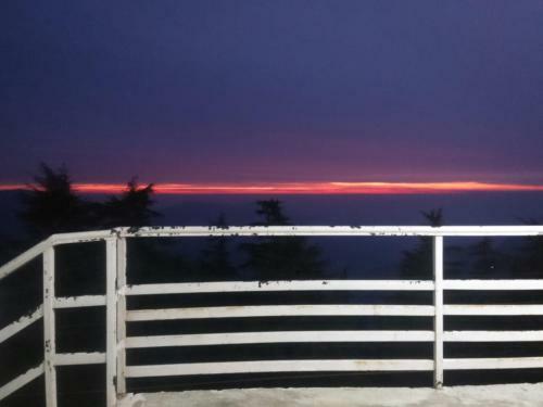 Hotel Dhanaulti Jungle Resort