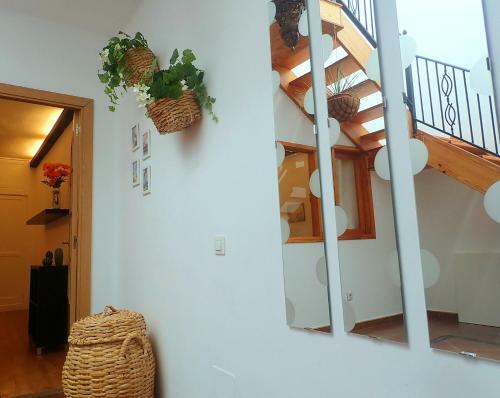 Apartamento New Colonyclub