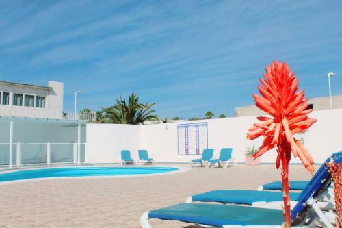 Apartamento New Colonyclub