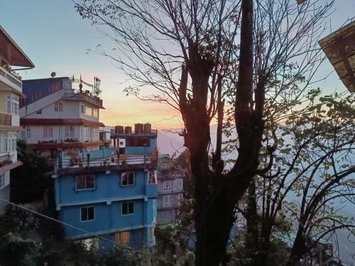 The Point Homestay