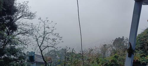 The Point Homestay