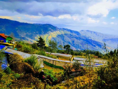 Solitude In Himalayas