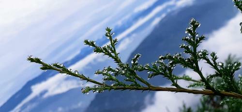 Solitude In Himalayas