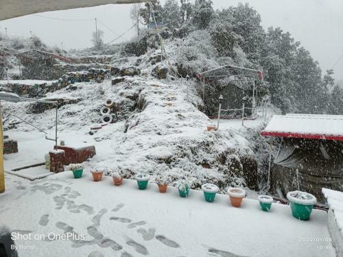 Dhanaulti Buraskhanda Snowzone Mountain Camp