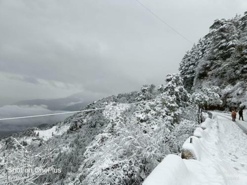 Dhanaulti Buraskhanda Snowzone Mountain Camp