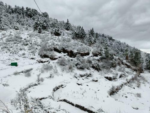 Dhanaulti Buraskhanda Snowzone Mountain Camp