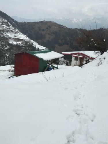 Dhanaulti Buraskhanda Snowzone Mountain Camp