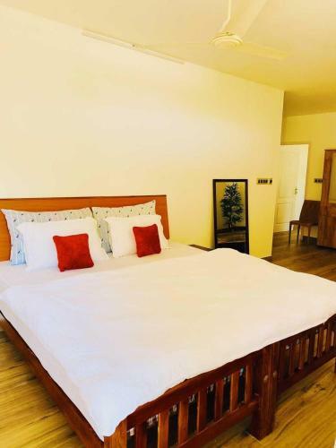 Zen Kochi Boutique Home
