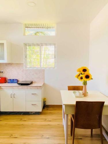 Zen Kochi Boutique Home