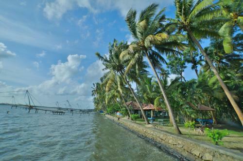 Village Canopy