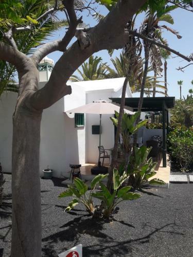 Apartamento Bungalow Dalai