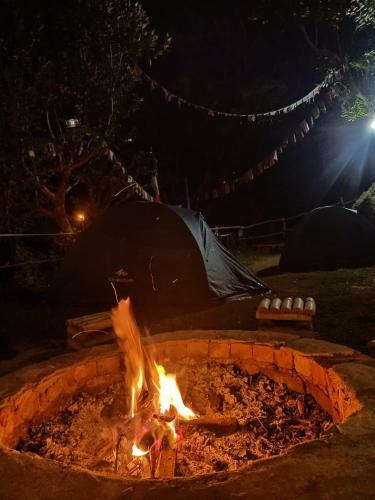 Village Homestay