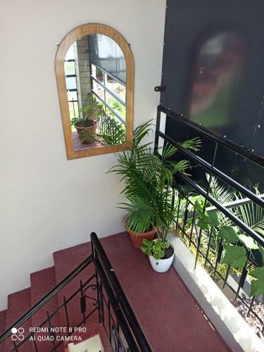 President Estate View