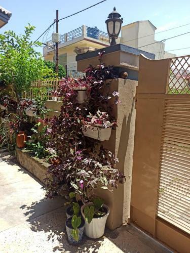 Apartamento Repose