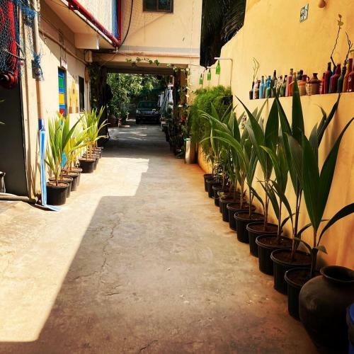 Bed & Breakfast Dream Vision Guest House