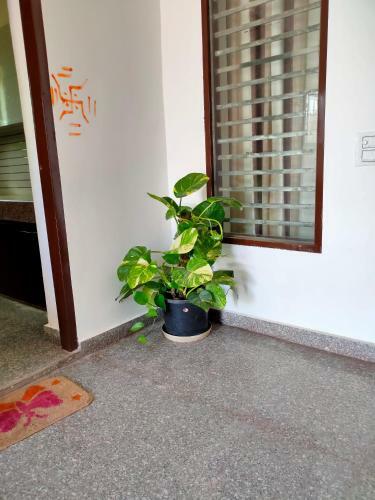 Villa Dr Kauls Farm Near Gurugram