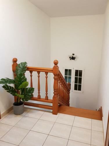 Villa Los Cactus